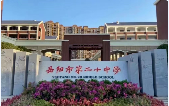 图片12.png